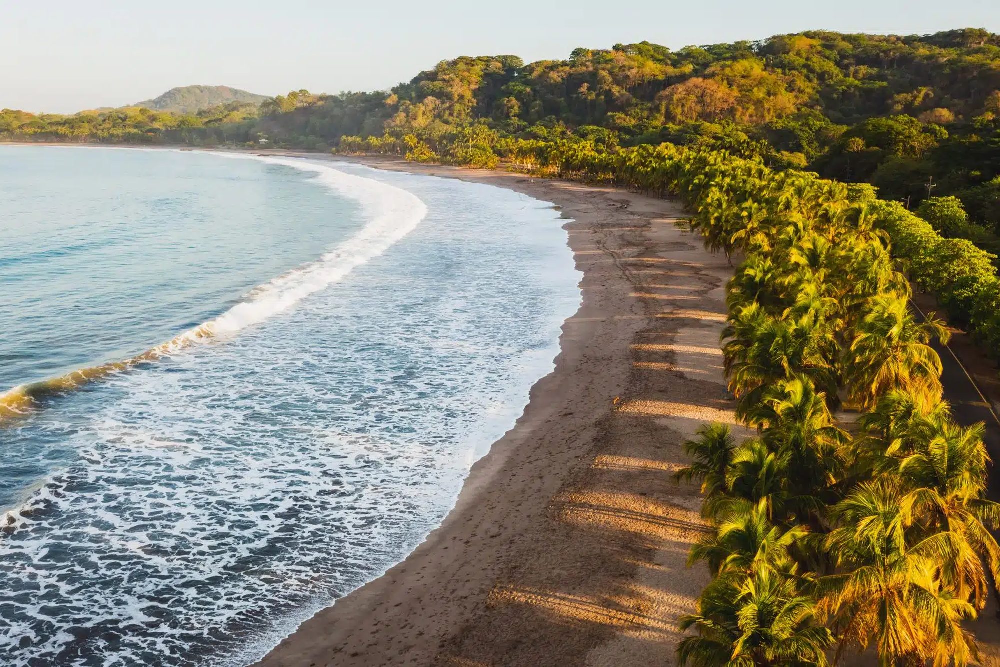 Aerial view of Playa Santa Teresa — a long palm-lined beach curving along the Pacific at golden hour