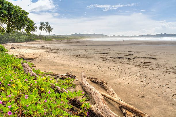 Nicoya Peninsula coastline