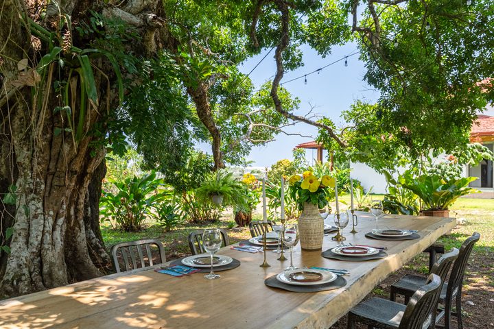 An al fresco table set for a long lunch under the garden trees